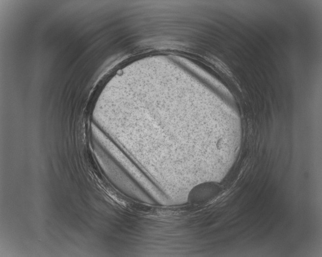 X0000080720782200701121842