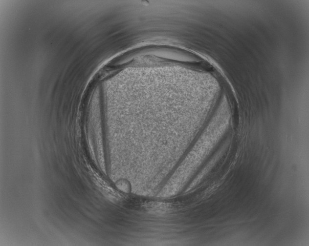 X0000080720783200701121842