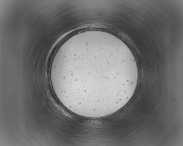 X0000080720784200701121842