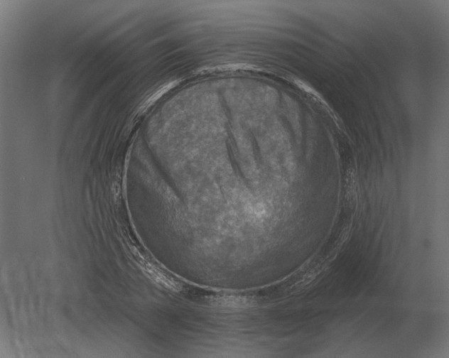 X0000080720785200701121842