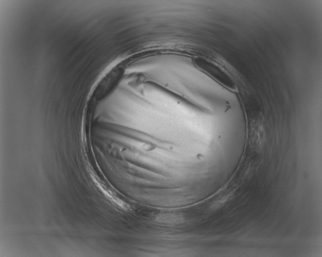 X0000080720788200701121842