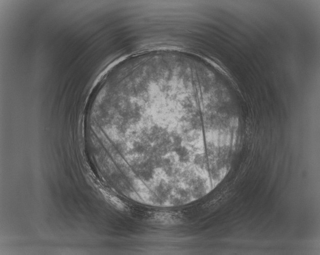 X0000080720790200701121842