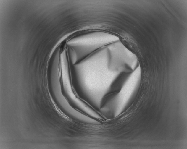 X0000080720792200701121842