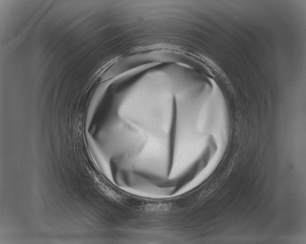 X0000080720793200701121842