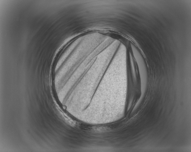 X0000080720795200701121842