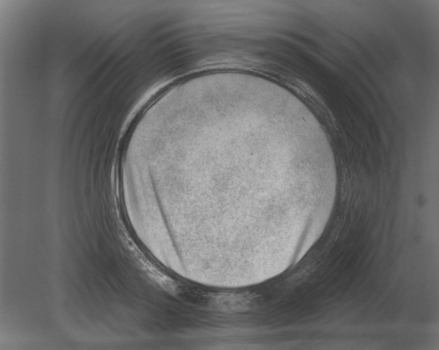 X0000080720796200701121842