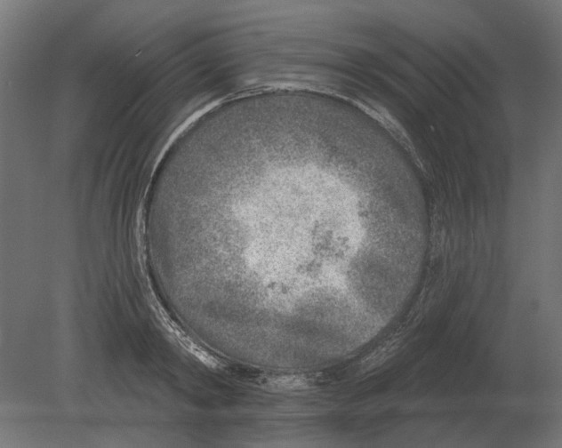 X0000080720798200701121842