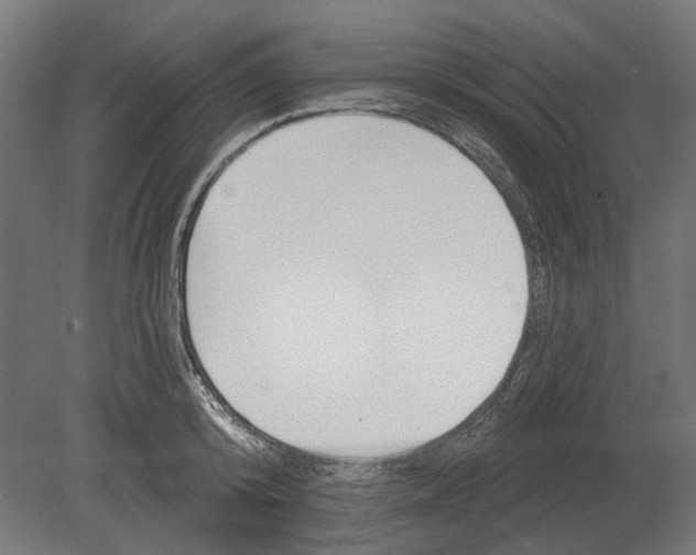 X0000080720800200701121842