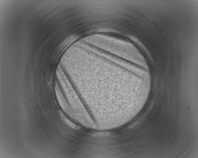 X0000080720801200701121842