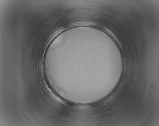 X0000080720802200701121842