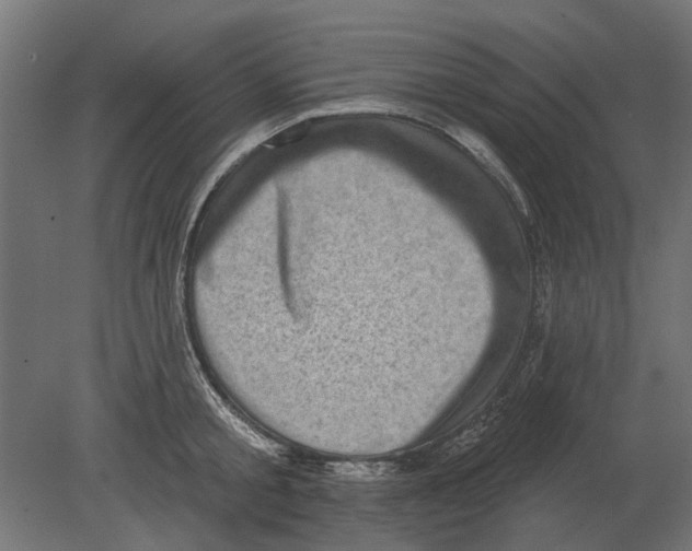 X0000080720805200701121842