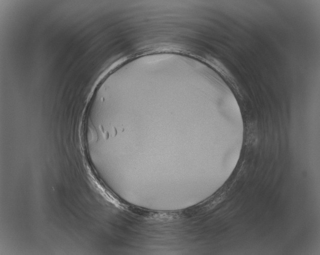 X0000080720806200701121842