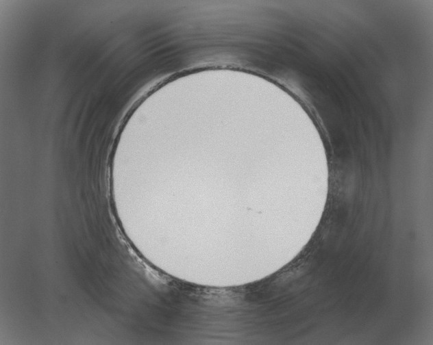 X0000080720807200701121842