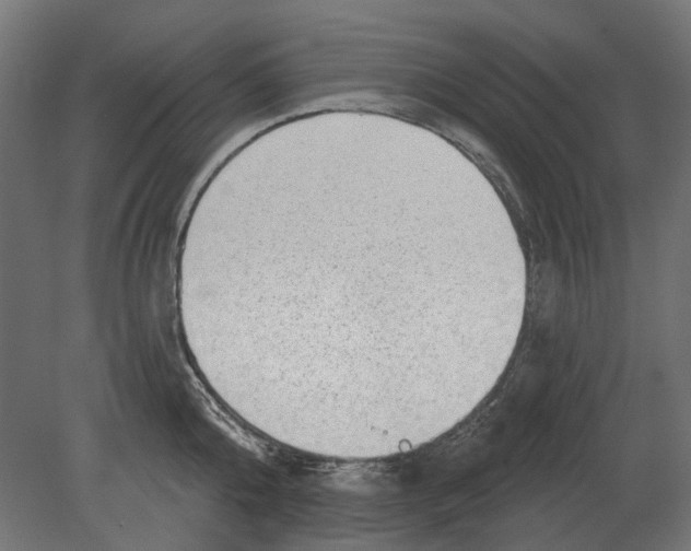 X0000080720808200701121842