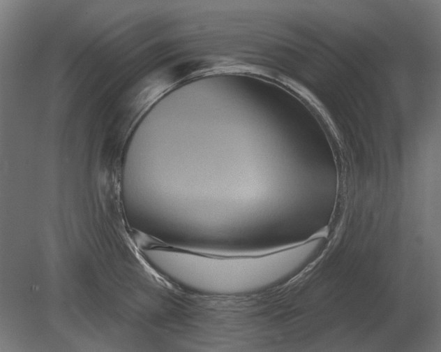 X0000080720809200701121842