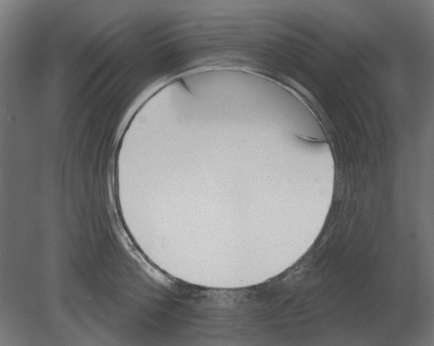 X0000080720812200701121842