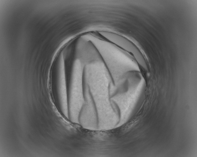 X0000080720815200701121842