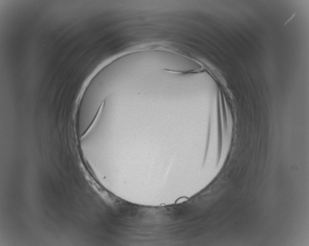 X0000080720816200701121842