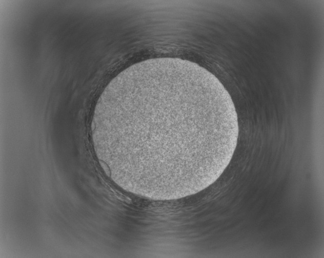 X0000080720817200701121841