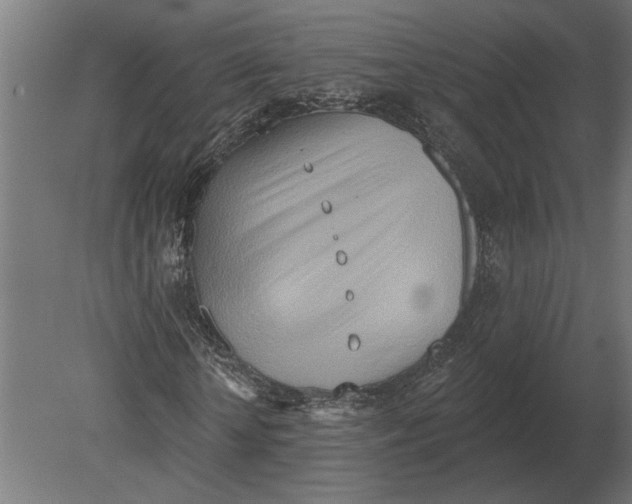 X0000080720818200701121841