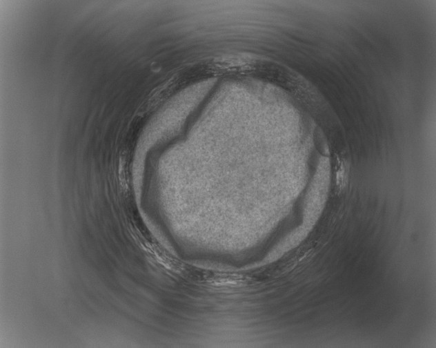 X0000080720819200701121841