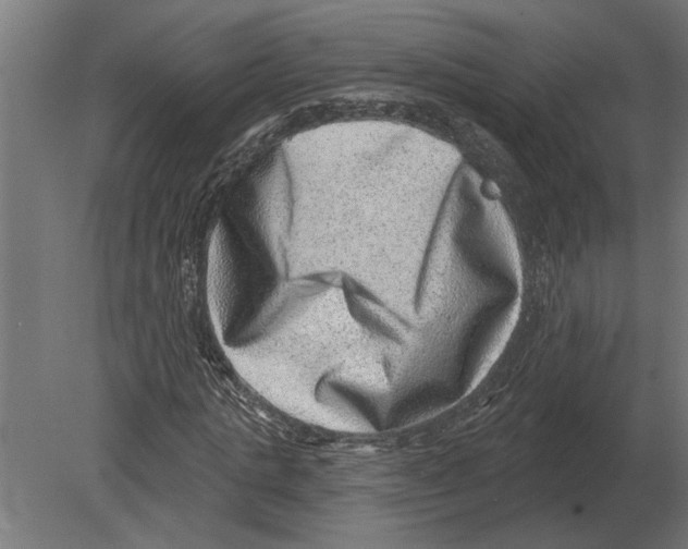 X0000080720821200701121841