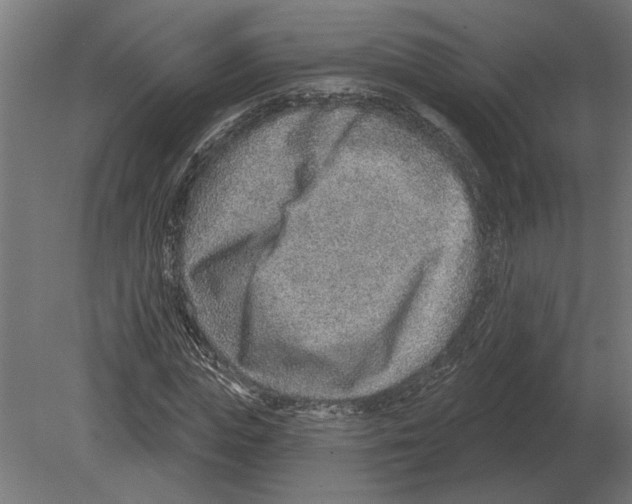 X0000080720823200701121841