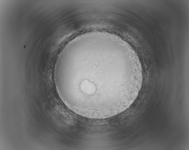 X0000080720824200701121841