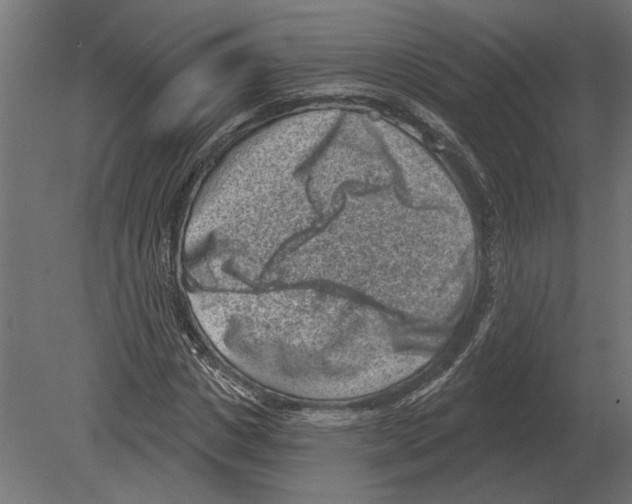 X0000080720825200701121841