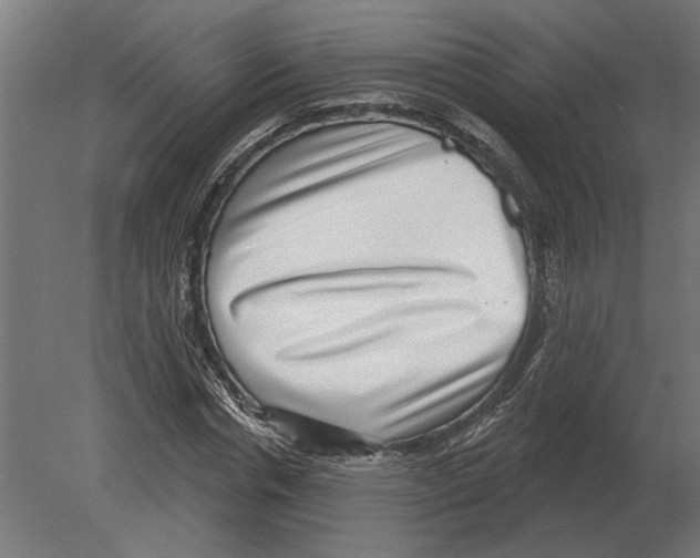 X0000080720826200701121841