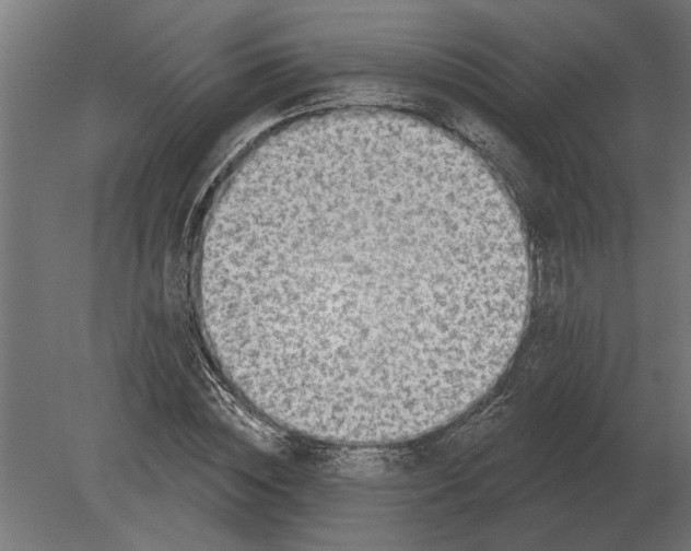 X0000080720828200701121841