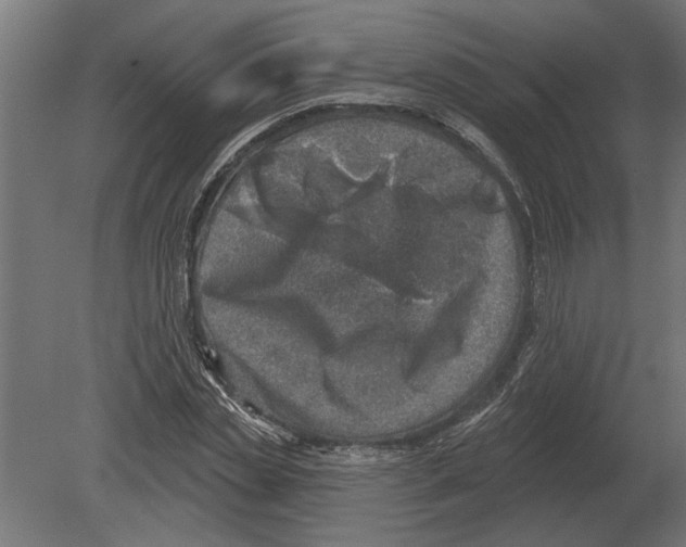 X0000080720829200701121841