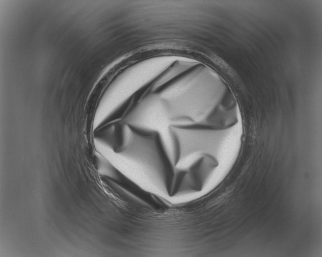 X0000080720830200701121841