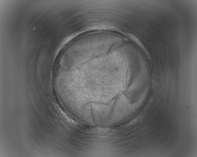 X0000080720831200701121841