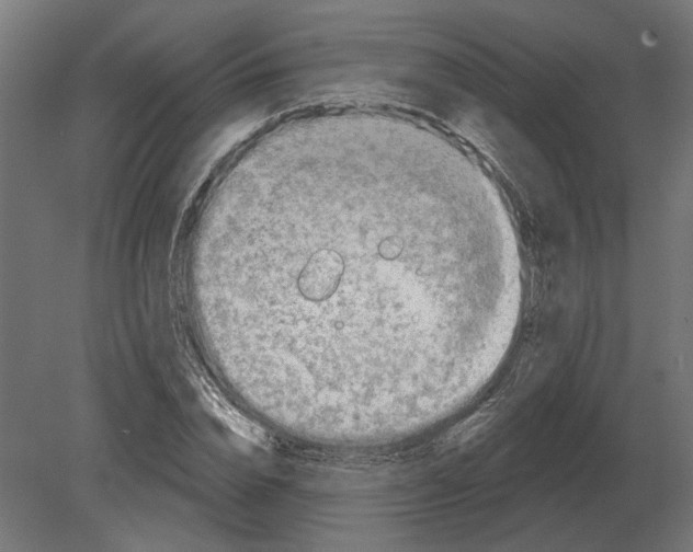 X0000080720832200701121841