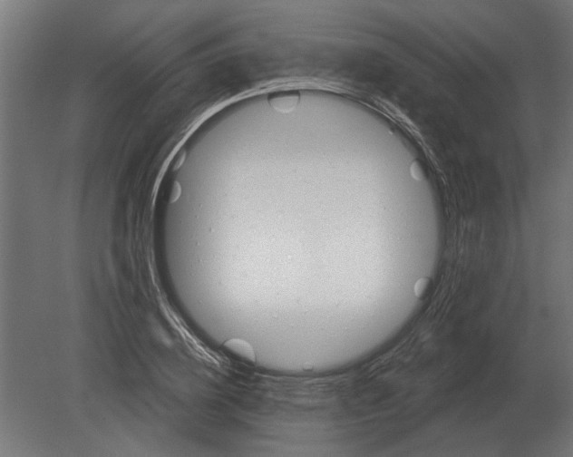 X0000080720836200701121841