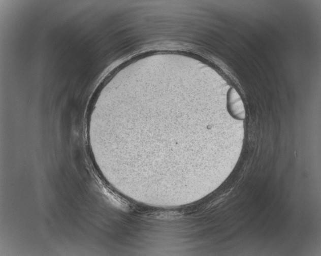 X0000080720837200701121841