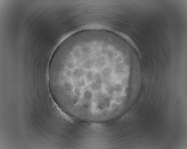 X0000080720839200701121841