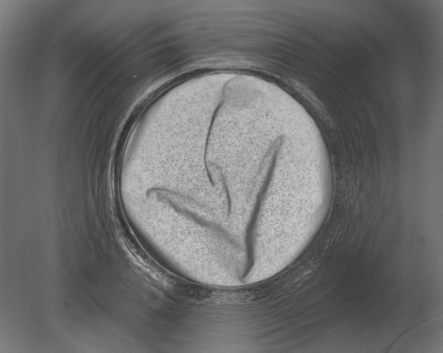 X0000080720840200701121841