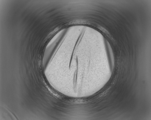 X0000080720841200701121841