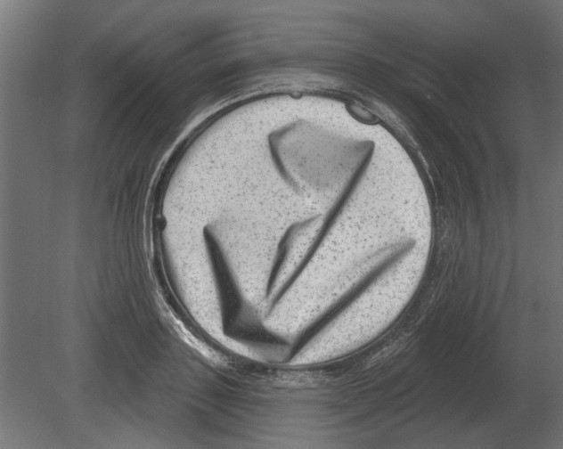 X0000080720843200701121841