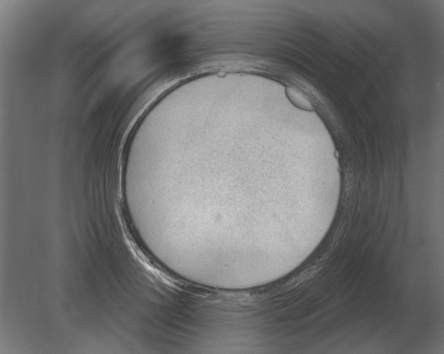 X0000080720844200701121841