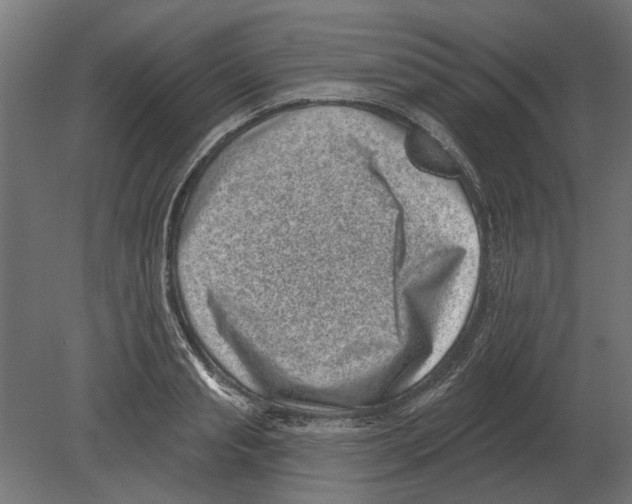 X0000080720845200701121841