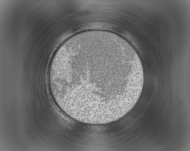 X0000080720848200701121842