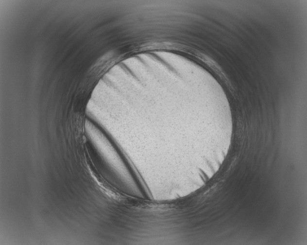 X0000080720849200701121842