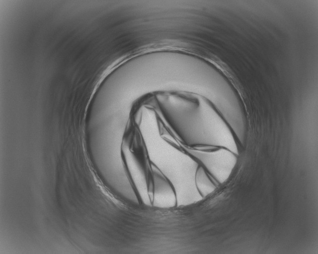 X0000080720850200701121842