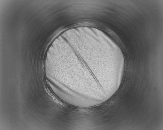 X0000080720852200701121842