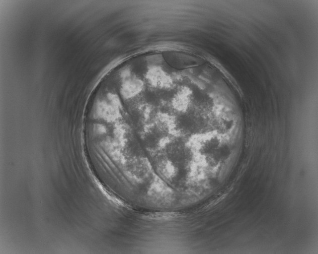 X0000080720853200701121842