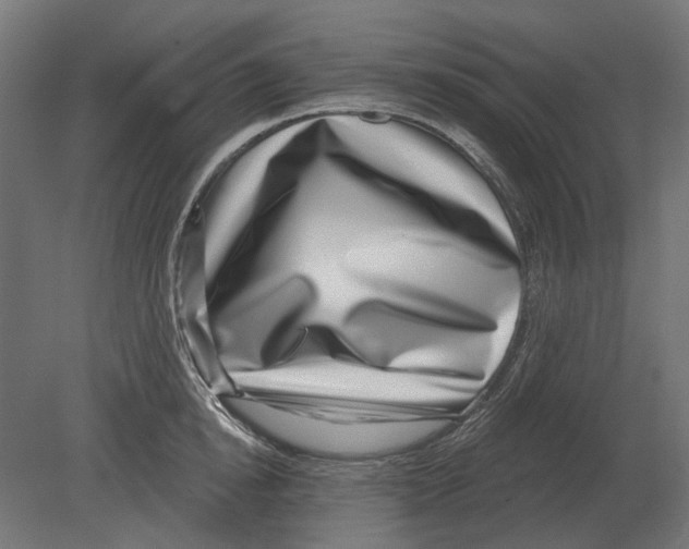 X0000080720854200701121842