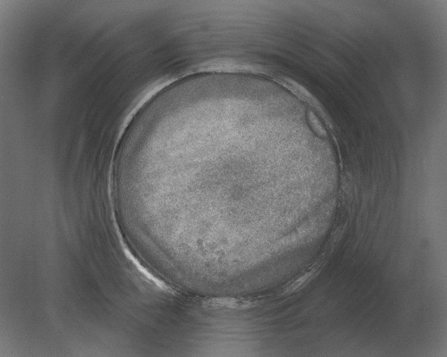 X0000080720855200701121842